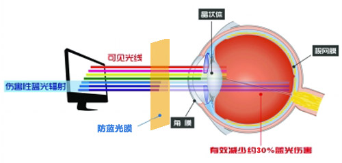 秋葵视频在线下载最新科技成果 秋葵视频ios下载成护眼利器 秋葵视频在线下载最新科技成果 秋葵视频ios下载成护眼利器